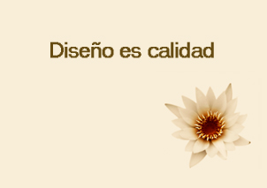 imagen diseño es calidad, según el diseñador